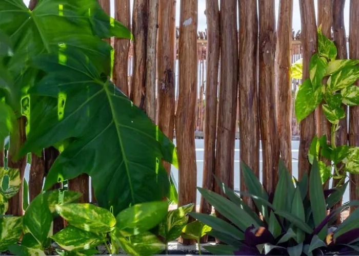 Pent House De Lujo Con Roof Privado Rodeado De Naturaleza